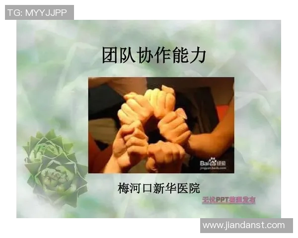 广州滑板队团队协作表现的数据分析与提升策略探讨