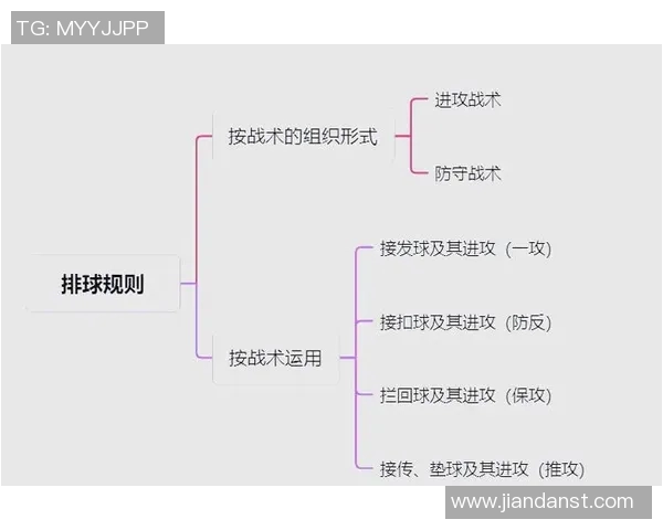 从零基础到高手之路：全面掌握排球配合技巧与战术解析